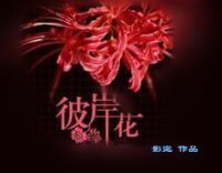 彼岸花(GL)
