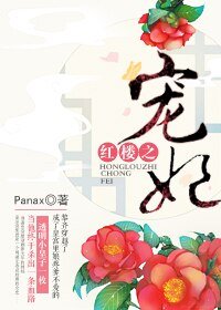 (BG/红楼同人)红楼之宠妃